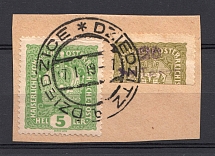 1919 Dziedzice, Local Issue, Poland (DZIEDZICE Postmark, CV $220)