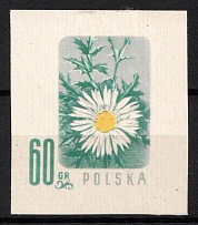 1957 60gr Republic of Poland, Wzor (Specimen of Fi. 880, Mi. 1020)