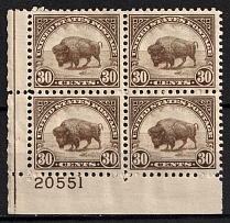 1923 30c Amerikan Buffalo, Regular Issue, United States, USA, Corner Block of Four (Scott 569, Plate Number '20551', CV $100, MNH/MH)