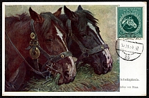 1944 Grand Prize of Wien Race (Workhorse)