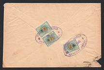 Ostrov Zemstvo 1915 (10 June) registered cover  locally addressed from the village Greski to the administation of the district