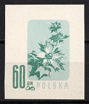 1957 60gr Republic of Poland, Wzor (Specimen of Fi. 877, Mi. 1021)