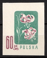 1957 60gr Republic of Poland, Wzor (Specimen of Fi. 876, Mi. 1024)