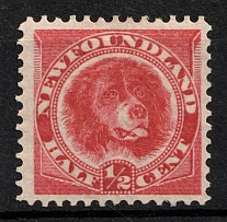 1887 0.5c Newfoundland, Canada (SG 49, CV $20)