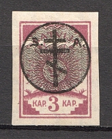 1919 Russia West Army Civil War 3 Kap