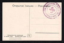 Lvov, 'Carpathians - Montenegrin Mountains', Red Cross, Poland, Ukraine, Open Letter, Postal Card