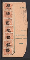 1919 Postal Money Transfer Woznesensk - Chechelnik (Odessa 3 Multifranking)