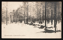 1917-1920 'Czechoslovaks in the Ural forests', Czechoslovak Legion Corps in WWI, Russian Civil War, Postcard
