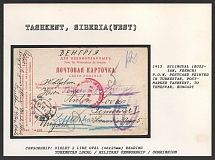 1915 Bilingual (Russian, French) P.O.W. Postcard printed in Turkestan, Post-marked Tashkent, to Temesvar, Hungary. TASHKENT Censorship: violet 2 line oval (46 x 25 mm) reading