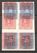 1920 Ukraine Block (Multiple Two Sides Printing, Print Error, MNH)