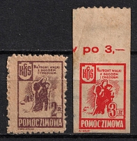Winter Help, To the Front of Fighting Hunger and Cold, Poland, Non-Postal, Cinderella, Rare