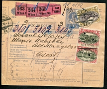 Parcel card. From Wien to Stariy Margelan Turkestan. Postal marking issued against the signature