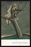 1914-18 'Pithecantropus Imperialis' WWI European Caricature Propaganda Postcard, Europe