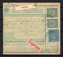 1917 Borinichi Ukraine Austria Parcel Form of Accompanying Address