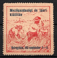 1910 Hungary, 'Agricultural and industrial exhibition in Nyiregyhaza'