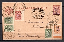 1919 Kalinkovichi - Local Postal Card Railway Station Postmark (Kiev Type 2)