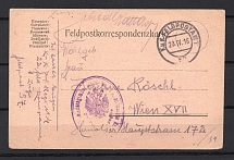 1916 Ukraine Austria WWI Fieldpost Postal Card