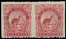 British Commonwealth - New Zealand - 1902, Brown Kiwi, 6p rose carmine, Single NZ and Star watermark, horizontal pair imperforated vertically, full OG, previously …