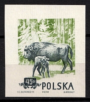 1954 45gr Republic of Poland, Wzor (Specimen of Fi. 743, Mi. 885)