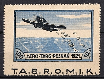 1921 100m Second Polish Republic, Airmail (Mi. II, Fi. L 2, MISSING Perforation, CV $130)