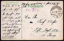 1918 (27 Jul) Turkey, Otto Liman von Sanders - Head of the German Military Mission in the Ottoman Empire, World War I Military Propaganda Postcard from Troisdorf (Germany)