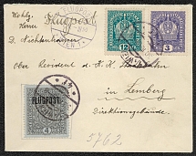 1918 Lviv (Ukraine) - Vienna, Austria, Airmail Cover (Scott C3)