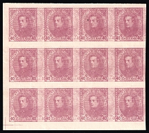 1920 40hrn Ukrainian Peoples Republic, Block (Kr. IX, Proof, Print on Polish Map, Two Sides Printing, INVERTED DOUBLE Printing, CV $100)