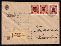 1919 (20 May) Ukraine, Registered 'Aba Moldauer' locally addressed cover with Registry label 'Stanislau 1 Ex offo', franked with 6h Pair and 80h Stanislav, West Ukrainian People's Republic