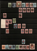 1918 Podolia, Different Types, Ukrainian Tridents, Ukraine