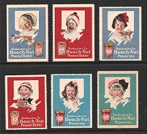 Beech Hill Preserve, United States, Stock of Cinderellas, Non-Postal Stamps, Labels, Advertising, Charity, Propaganda (MNH)