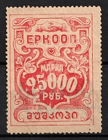 1923 Georgia United worker cooperative 25000r coop revenue Soviet Russia Caucasus