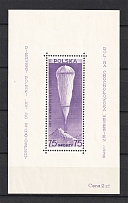 1938 Poland (Souvenir Sheet, CV $170, MNH)