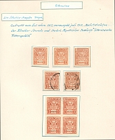 1918 Ukraine Collection of Cancelations and Varieties (6 Scans)