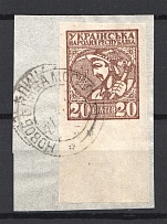 1918 Ukraine Cancellation Novobelitsa Mogilev 20 Шагів