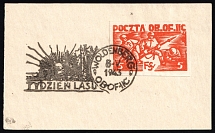 1942-43 Woldenberg on piece, Poland, POCZTA OB.OF.IIC, WWII Camp Post (Fi. 15 bx, Special Cancellation)