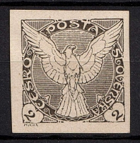 1918-19 2h Czechoslovakia (Proof of Mi. 13)