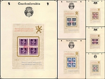 1919 Czechoslovakia, Collection of Souvenir Sheets with Commemorative Cancellations