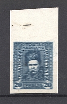 1920 Ukrainian People's Republic (Multiple Two Sides Reflected Printing, MNH)