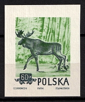 1954 60gr Republic of Poland, Wzor (Specimen of Fi. 744, Mi. 886)