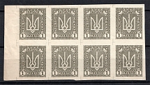 1920 1Г Ukrainian Peoples Republic, Ukraine (IMPERFORATED, CV $560, Horizontal Block with Field, MNH)