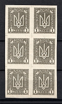 1920 1Г Ukrainian Peoples Republic, Ukraine (IMPERFORATED, CV $280, Vertical Block, MNH)