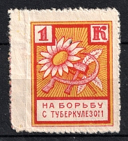 1926 1k, Fighting Tuberculosis, Odessa, USSR Cinderella, Ukraine