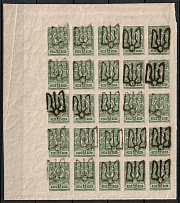 1918 2k Podolia Type 48 (14 b), Ukraine Tridents, Ukraine, Piece of Sheet (Bulat 2059, CV $---, Margin, MNH)