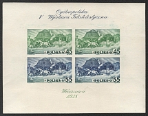 1938 Poland, Souvenir Sheet (Mi. Bl. 5 B, CV $200, MNH)