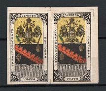 1879 5k Tiraspol Zemstvo, Russia (Schmidt #3I, Pair, CV $240)