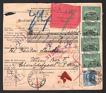 1913 (27 Nov) Russian Empire parcel card from St.Petersburg to Vienna (Austria) franked with 4R 10k Romanovs issue