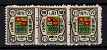 1908 20k Vetluga Zemstvo, Russia (Schmidt #6, CV $45, Strip, MNH/MH)