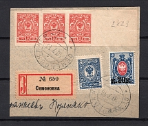 1918 Semenovka Part of Local Cover