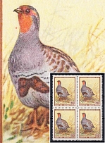 1957 10k Fauna of the USSR, Soviet Union USSR, Block of Four (Orange Dot at Left of the Bird, Print Error, CV $20, MNH)