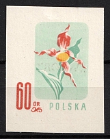 1957 60gr Republic of Poland, Wzor (Specimen of Fi. 879, Mi. 1023)